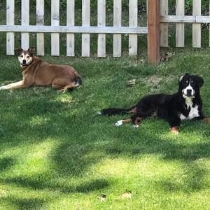 Meet your Posher, Mary